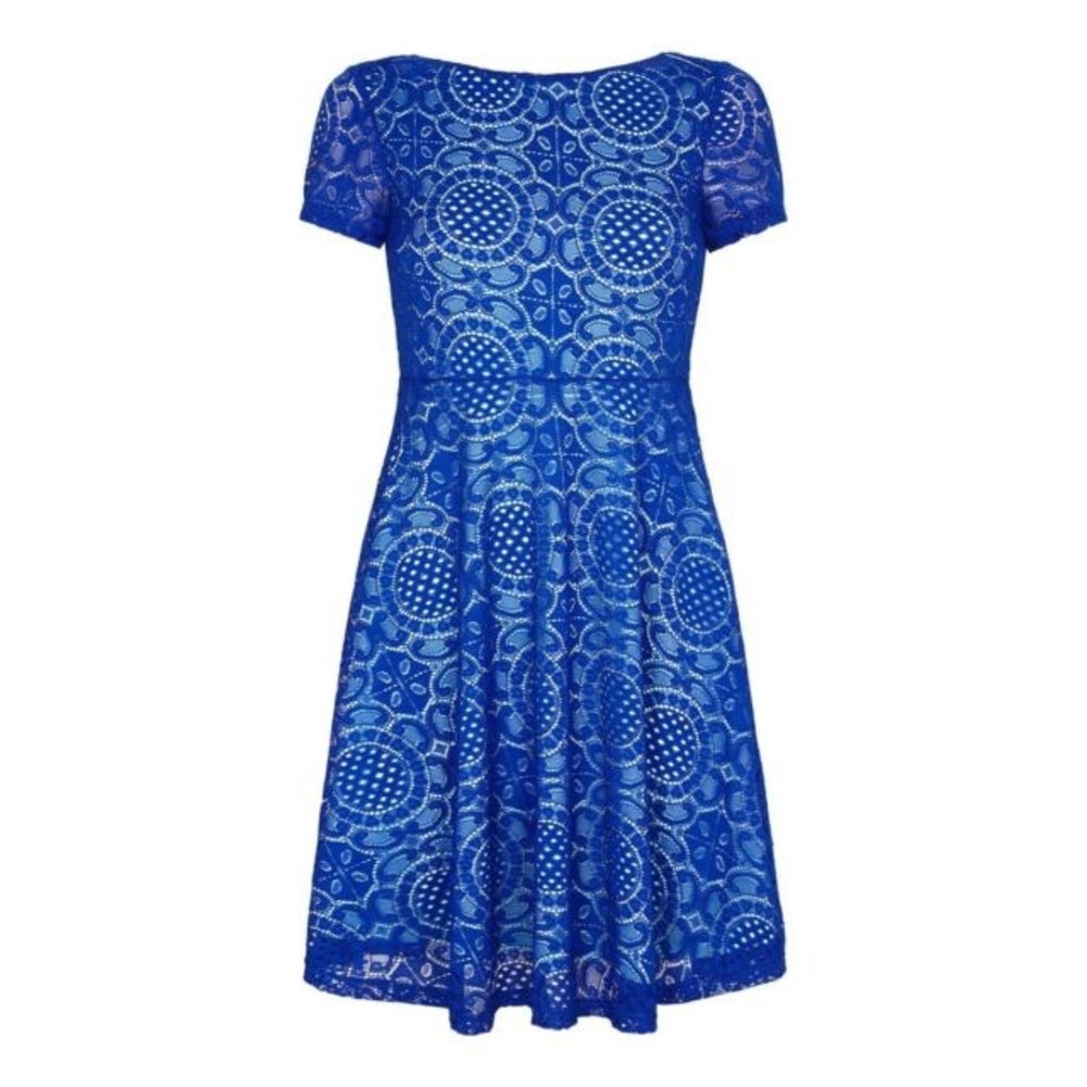 Yumi lace skater dress